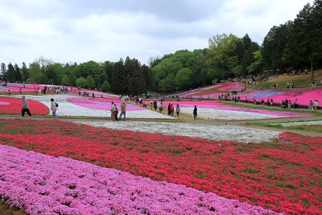 Hitsujiyama Park